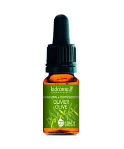 Olive (23) BIO, 10 ml